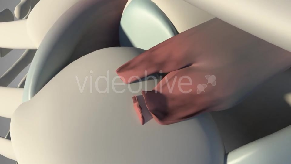 Surgical Treatment For The Rotator Cuff Tear Videohive 20535545 Motion Graphics Image 5