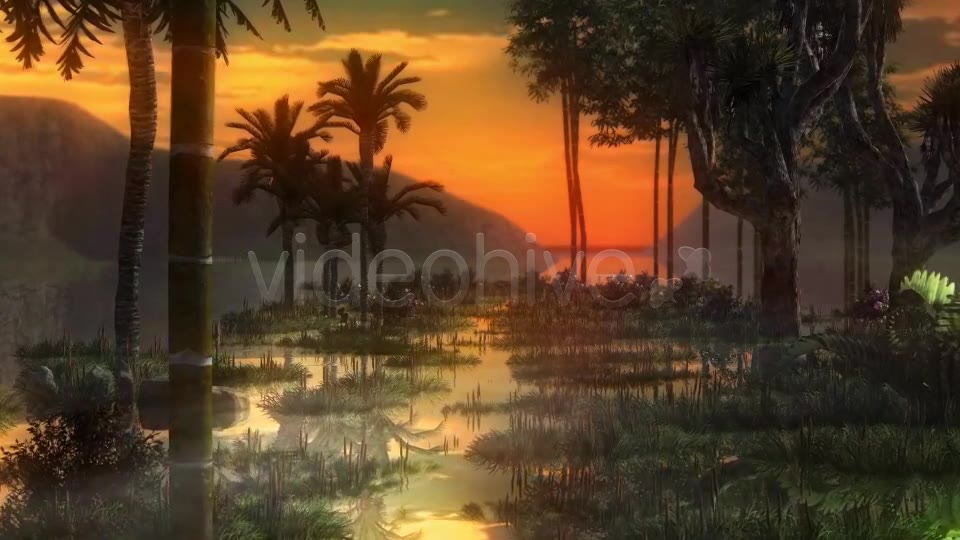 Swamp Videohive 14344941 Motion Graphics Image 2