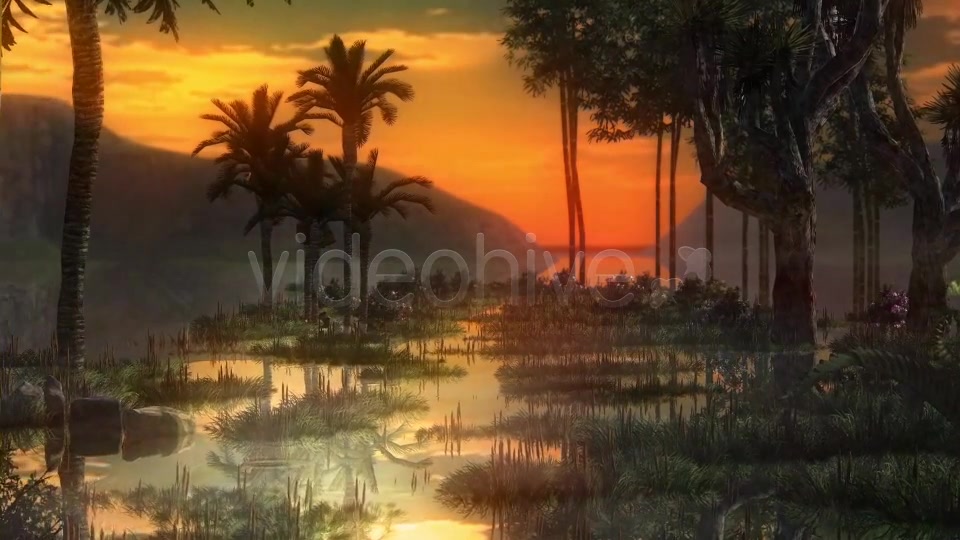 Swamp Videohive 14344941 Motion Graphics Image 3