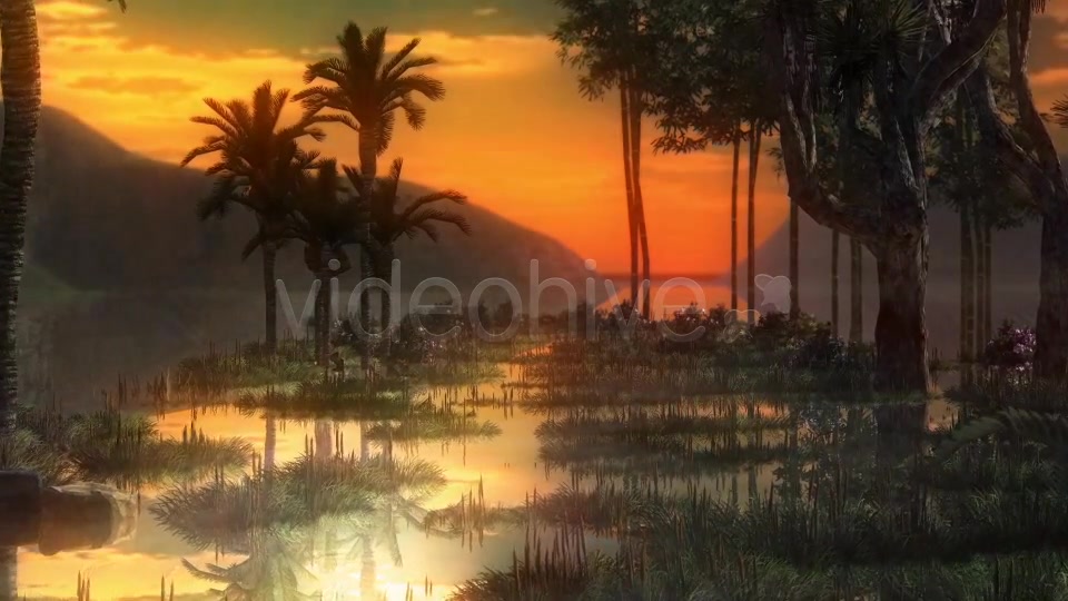Swamp Videohive 14344941 Motion Graphics Image 4