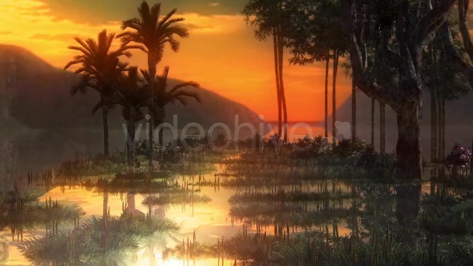 Swamp Videohive 14344941 Motion Graphics Image 5