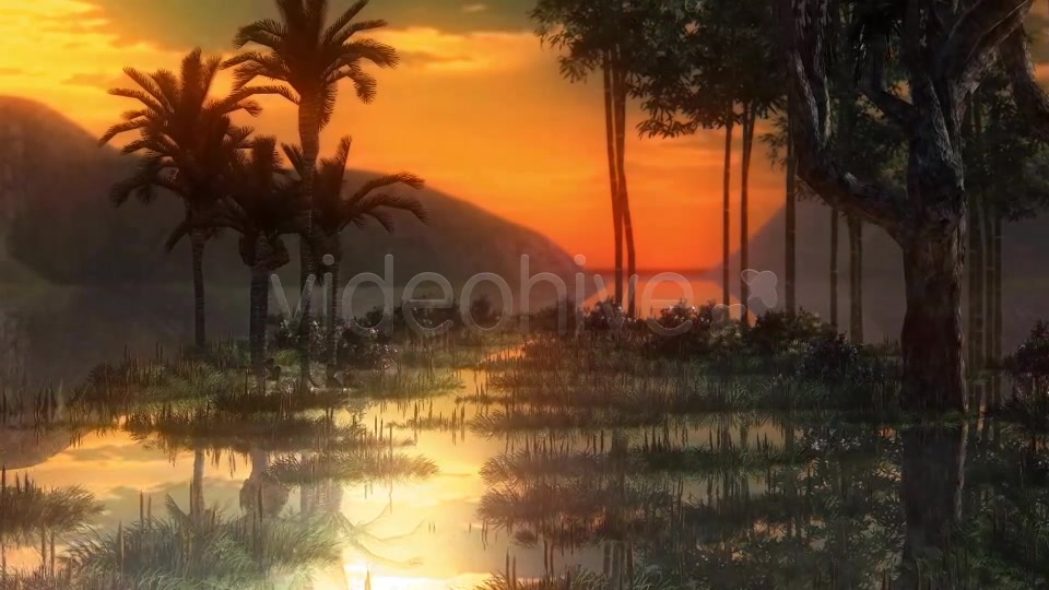 Swamp Videohive 14344941 Motion Graphics Image 6