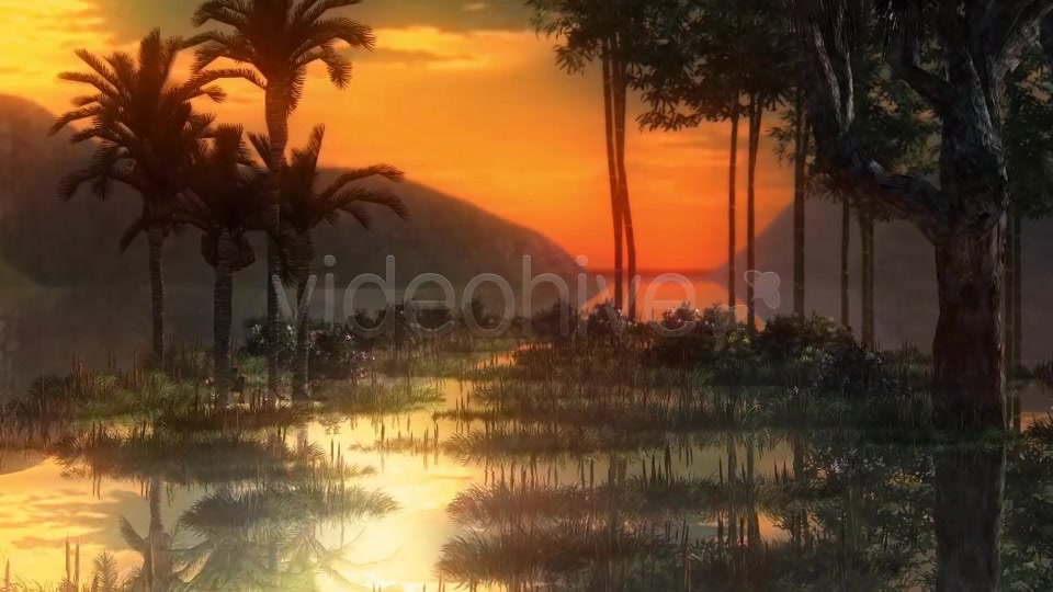 Swamp Videohive 14344941 Motion Graphics Image 7