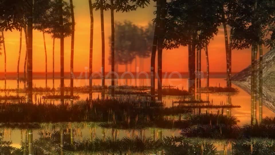 Swamp Sunset Videohive 14344835 Motion Graphics Image 1
