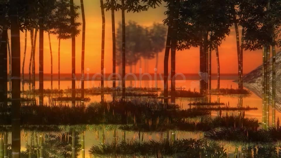 Swamp Sunset Videohive 14344835 Motion Graphics Image 2