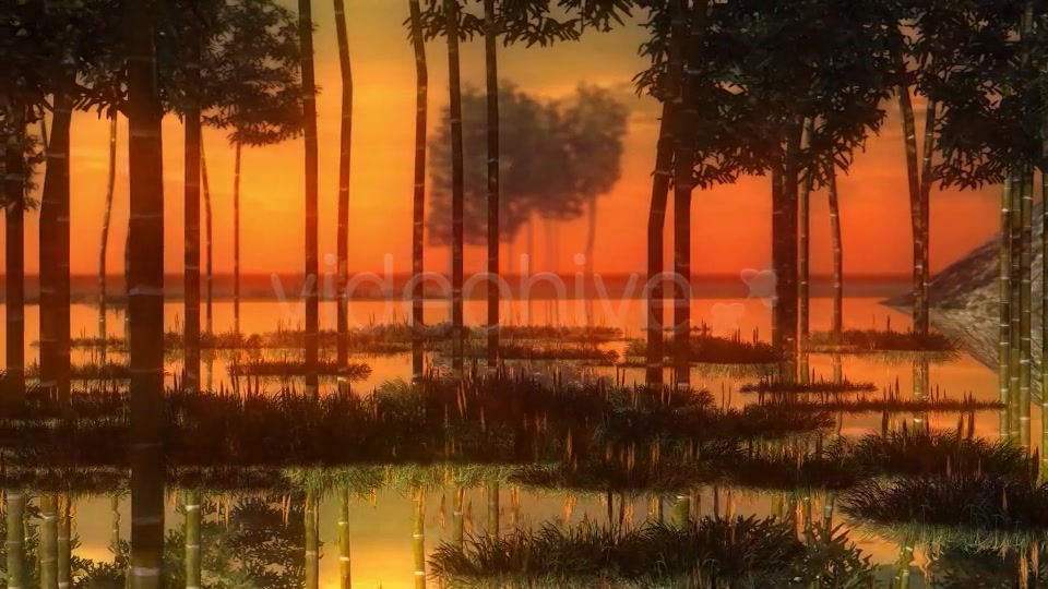 Swamp Sunset Videohive 14344835 Motion Graphics Image 3