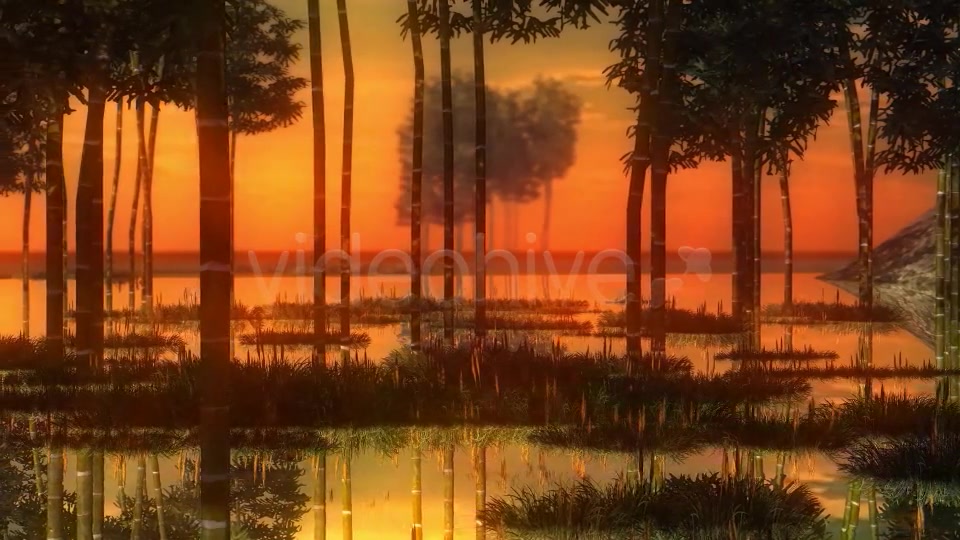 Swamp Sunset Videohive 14344835 Motion Graphics Image 4