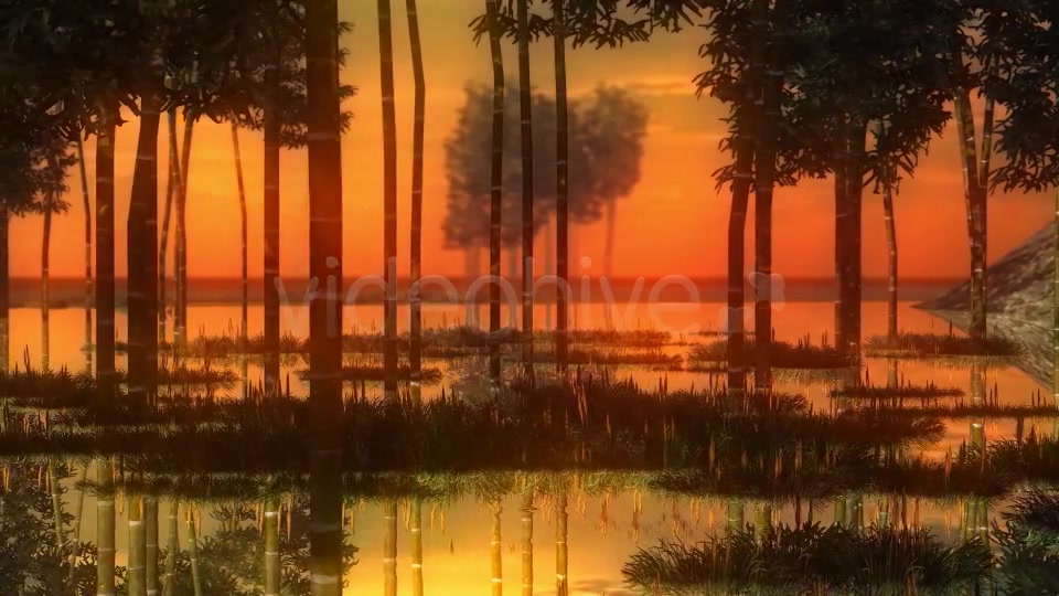 Swamp Sunset Videohive 14344835 Motion Graphics Image 5