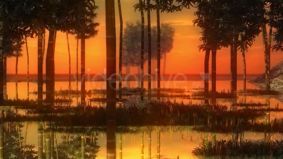 Swamp Sunset Videohive 14344835 Motion Graphics Image 6