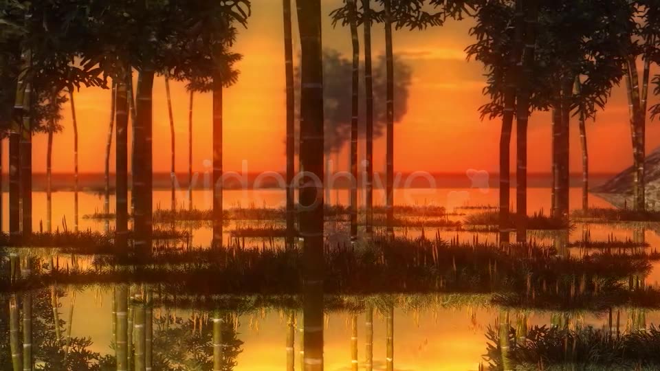Swamp Sunset Videohive 14344835 Motion Graphics Image 7