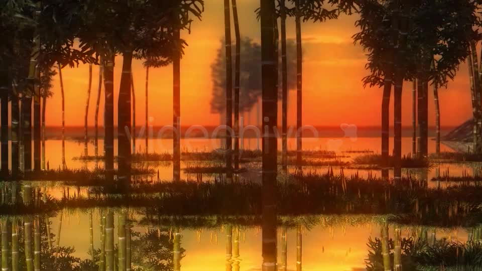 Swamp Sunset Videohive 14344835 Motion Graphics Image 8