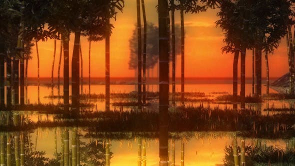 Swamp Sunset - 14344835 Videohive Download