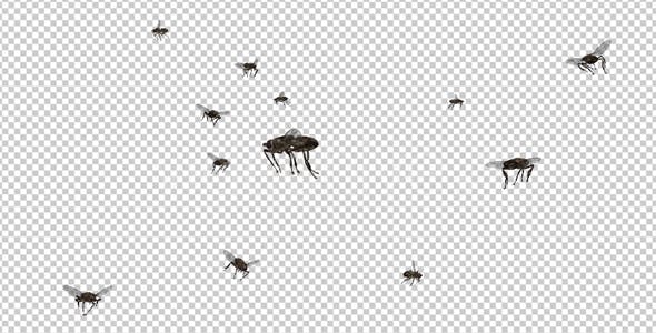 Swarm Flies - Download Videohive 20830486