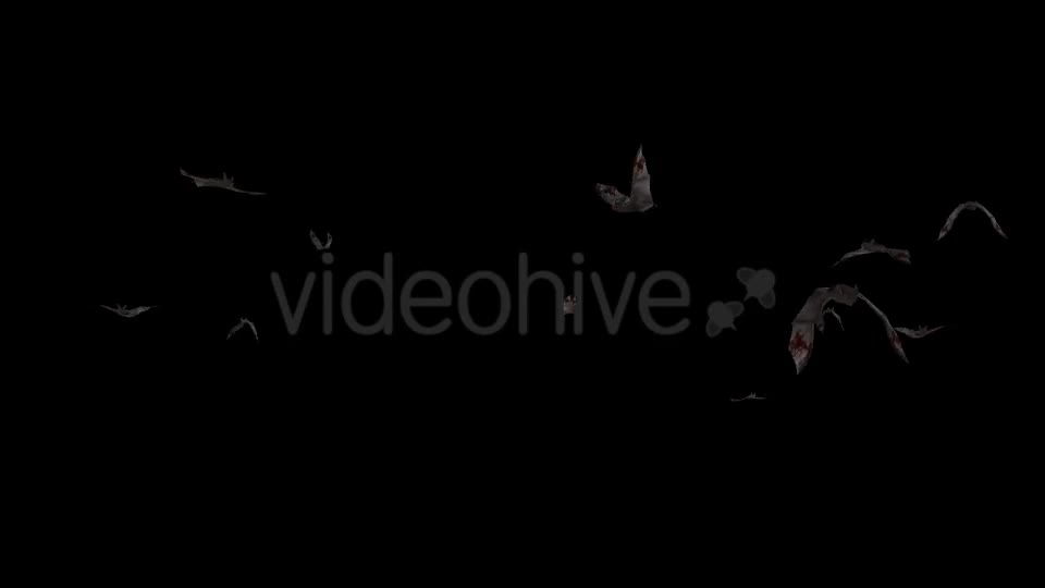 Swarm of Bats Flying Around Bloody Version Videohive 20780433 Motion Graphics Image 1