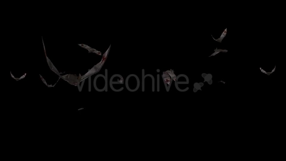 Swarm of Bats Flying Around Bloody Version Videohive 20780433 Motion Graphics Image 2