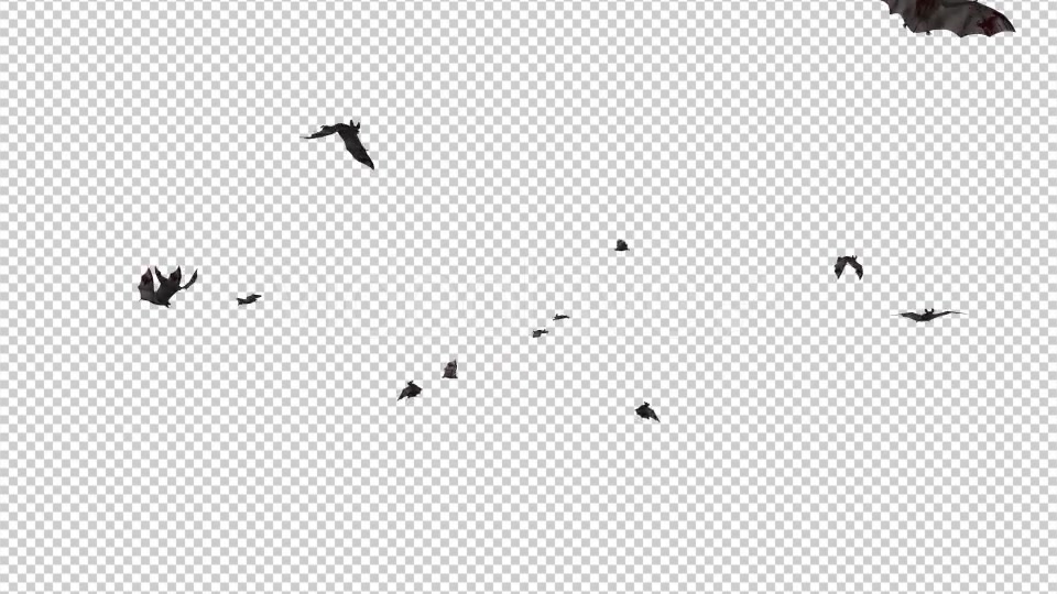 Swarm of Bats Flying Around Bloody Version Videohive 20780433 Motion Graphics Image 3