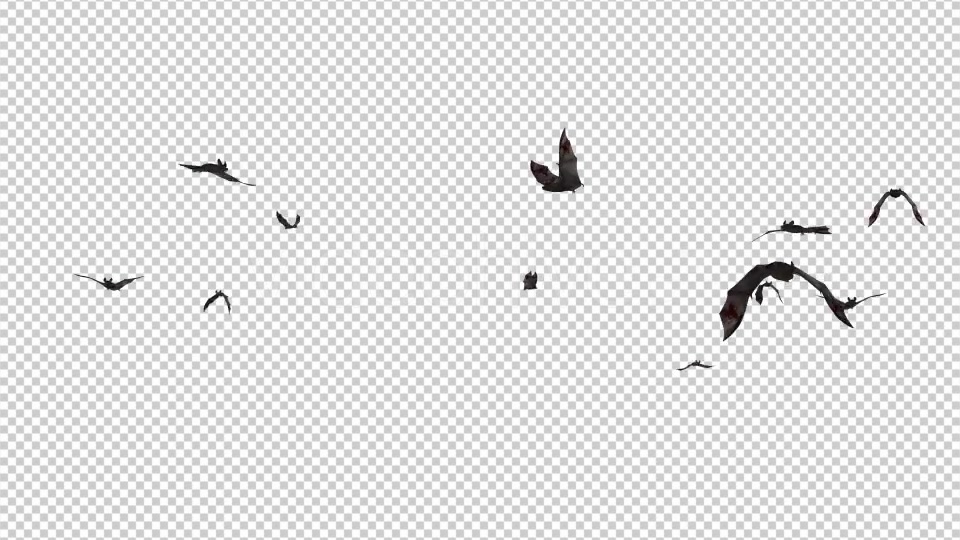 Swarm of Bats Flying Around Bloody Version Videohive 20780433 Motion Graphics Image 6