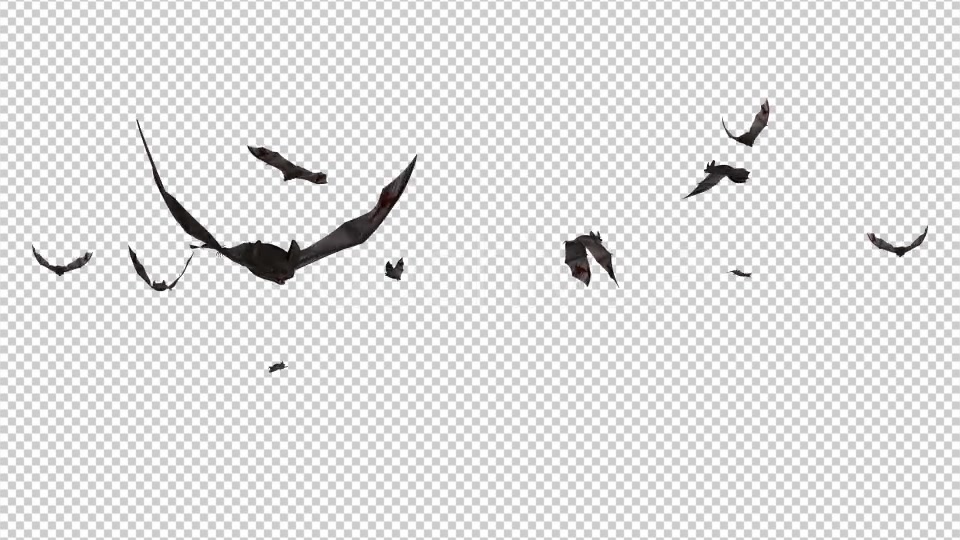 Swarm of Bats Flying Around Bloody Version Videohive 20780433 Motion Graphics Image 7