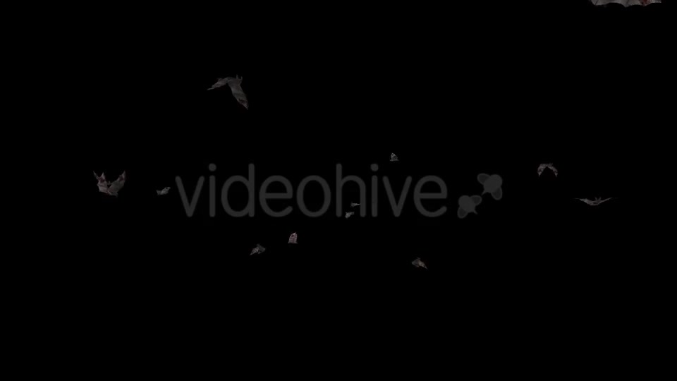 Swarm of Bats Flying Around Bloody Version Videohive 20780433 Motion Graphics Image 8