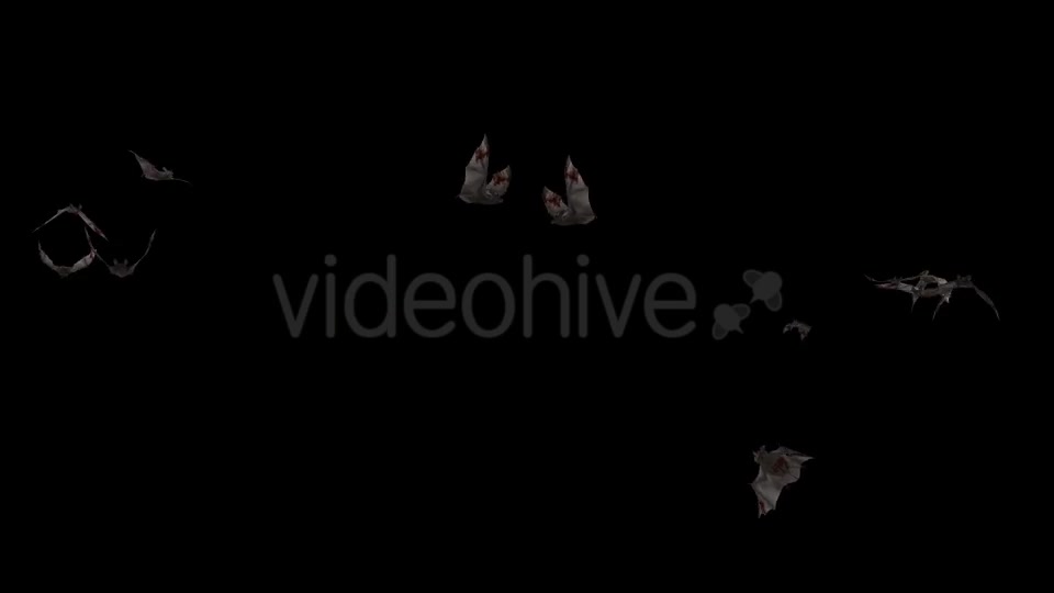 Swarm of Bats Flying Around Bloody Version Videohive 20780433 Motion Graphics Image 9