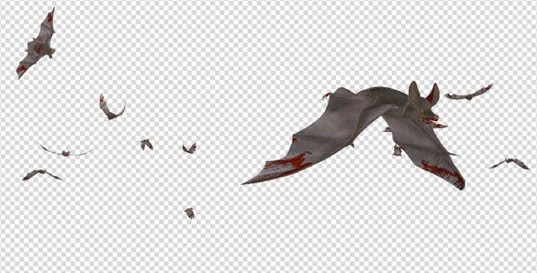 Swarm of Bats Flying Around Bloody Version - Videohive 20780433 Download