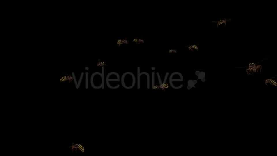 Swarm Wasps Flying Around Videohive 20839293 Motion Graphics Image 13