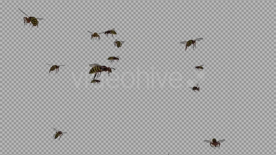 Swarm Wasps Flying Around 4K Videohive 20839299 Motion Graphics Image 2