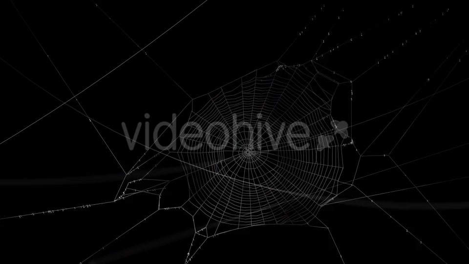Swaying Spiders Web Videohive 11724721 Motion Graphics Image 4