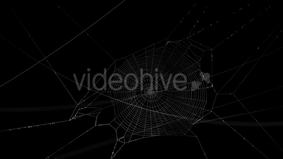 Swaying Spiders Web Videohive 11724721 Motion Graphics Image 5