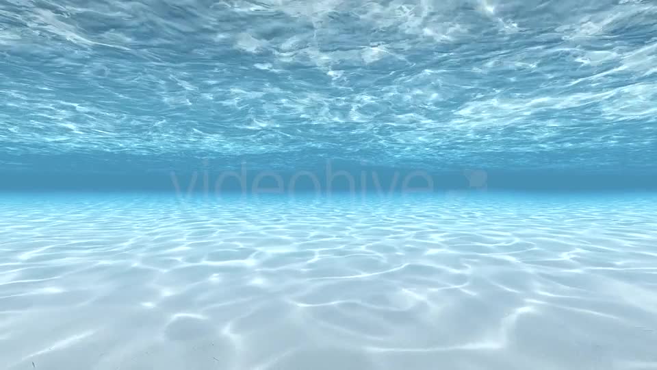 Swimming Under Water Videohive 19826191 Motion Graphics Image 1