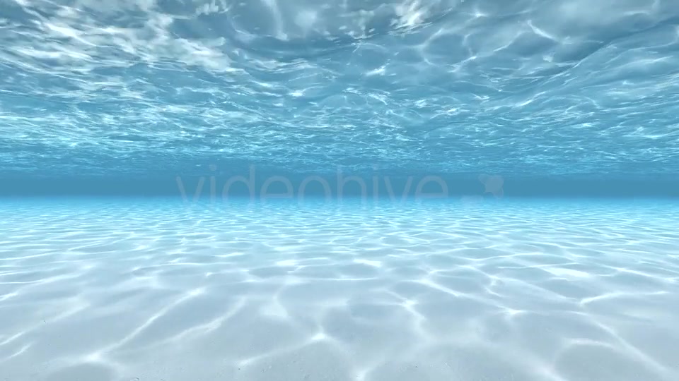 Swimming Under Water Videohive 19826191 Motion Graphics Image 10