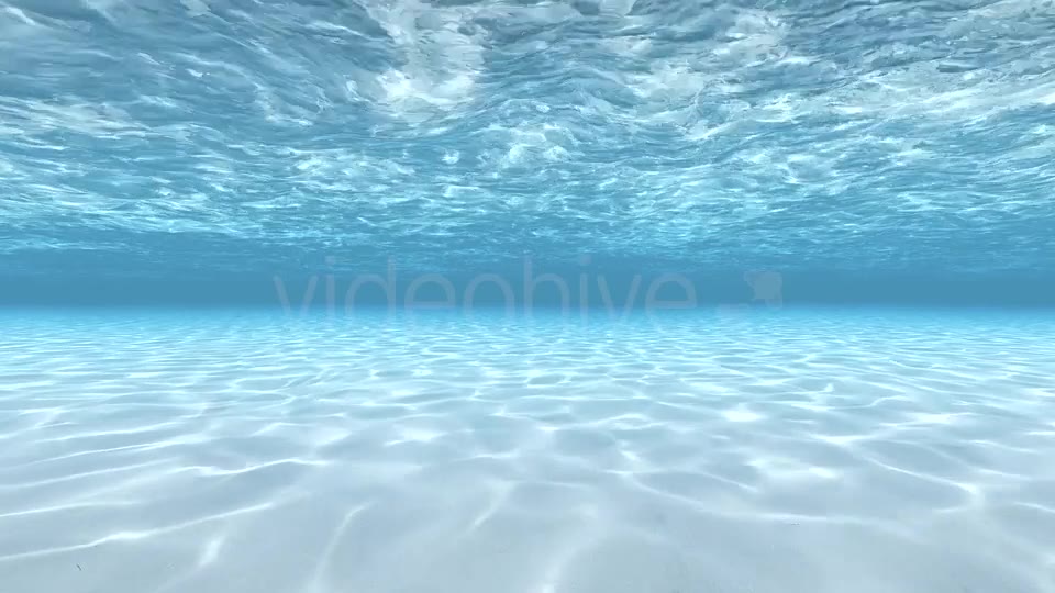 Swimming Under Water Videohive 19826191 Motion Graphics Image 2