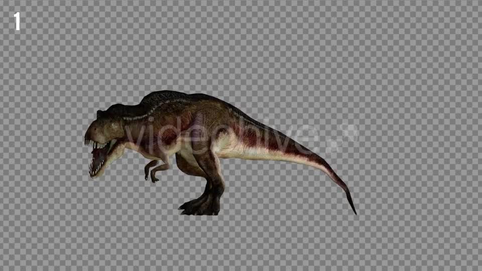 T REX 1 Realistic Pack 5 Videohive 21265243 Motion Graphics Image 1