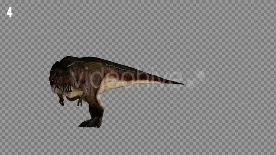 T REX 1 Realistic Pack 5 Videohive 21265243 Motion Graphics Image 10