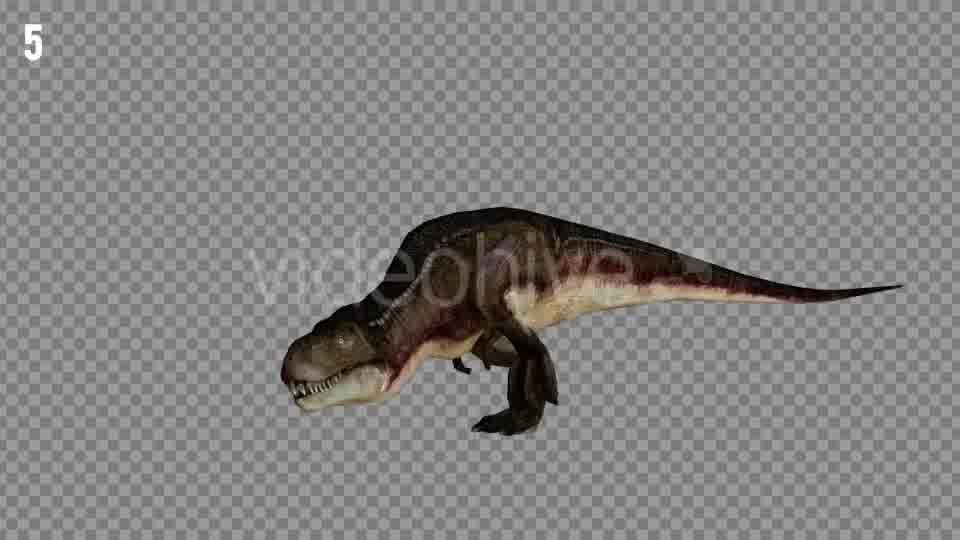 T REX 1 Realistic Pack 5 Videohive 21265243 Motion Graphics Image 11