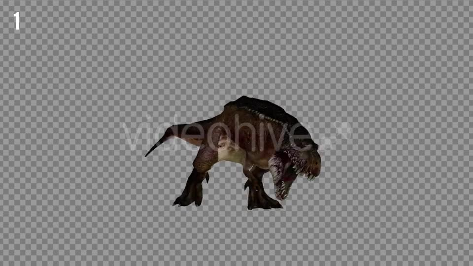 T REX 1 Realistic Pack 5 Videohive 21265243 Motion Graphics Image 2