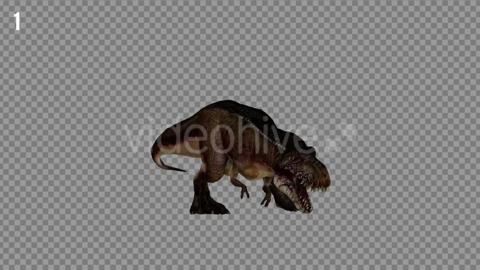 T REX 1 Realistic Pack 5 Videohive 21265243 Motion Graphics Image 3
