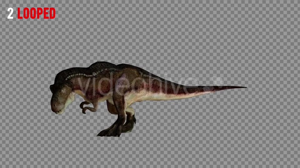 T REX 1 Realistic Pack 5 Videohive 21265243 Motion Graphics Image 4