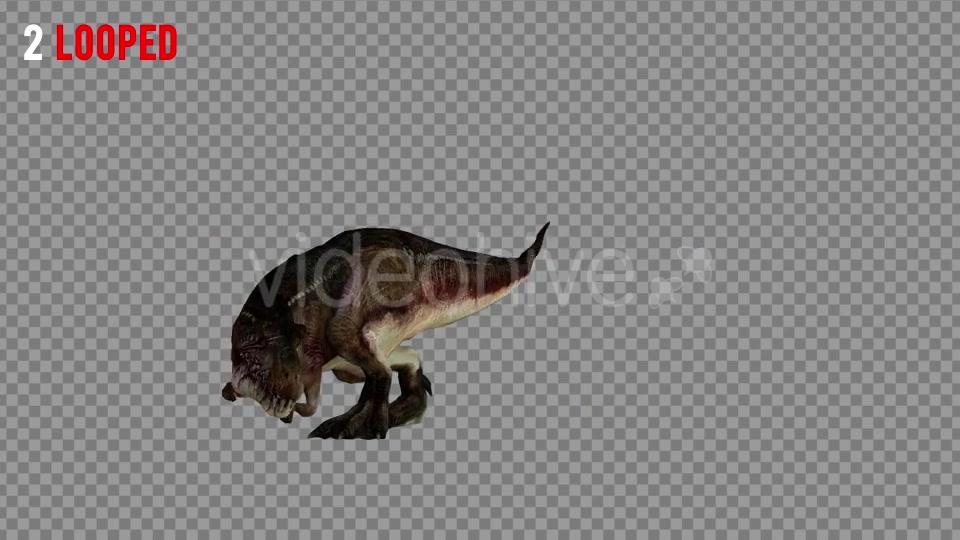 T REX 1 Realistic Pack 5 Videohive 21265243 Motion Graphics Image 5