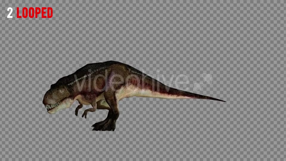 T REX 1 Realistic Pack 5 Videohive 21265243 Motion Graphics Image 6