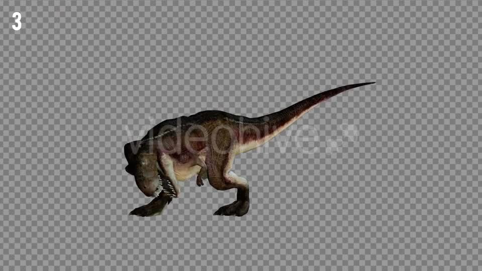 T REX 1 Realistic Pack 5 Videohive 21265243 Motion Graphics Image 7