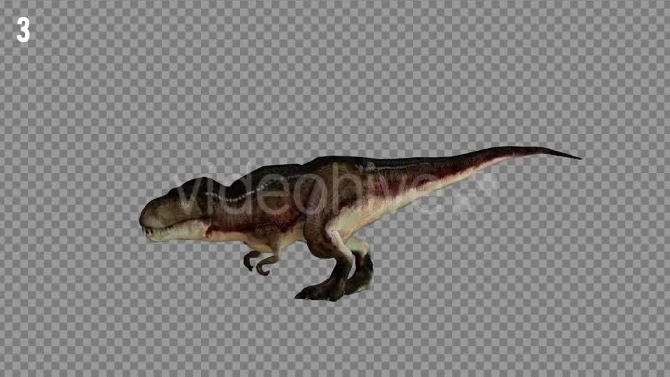 T REX 1 Realistic Pack 5 Videohive 21265243 Motion Graphics Image 8