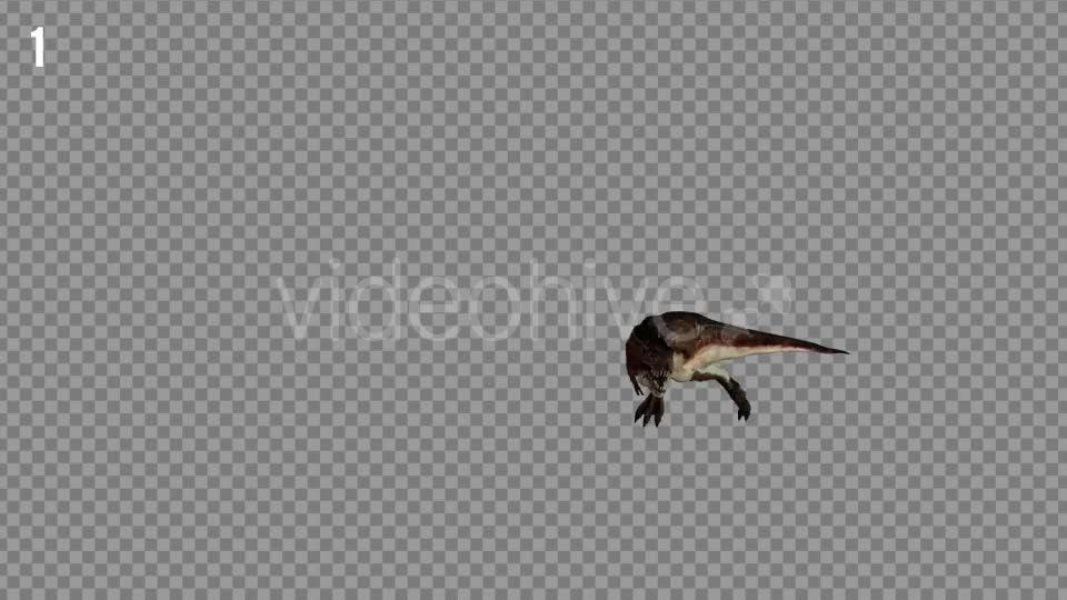 T REX 2 Realistic Pack 5 Videohive 21265310 Motion Graphics Image 1