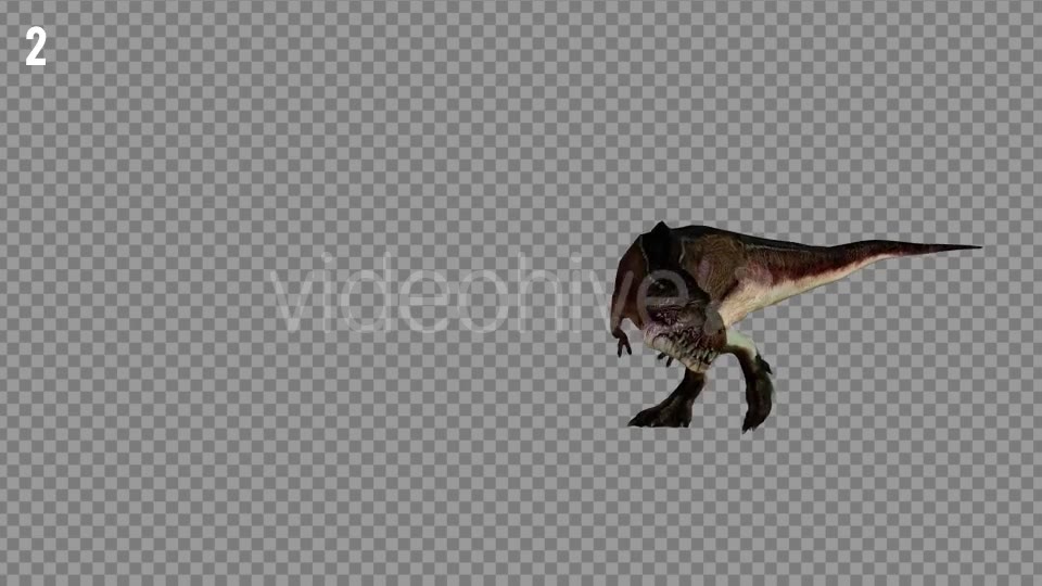 T REX 2 Realistic Pack 5 Videohive 21265310 Motion Graphics Image 2