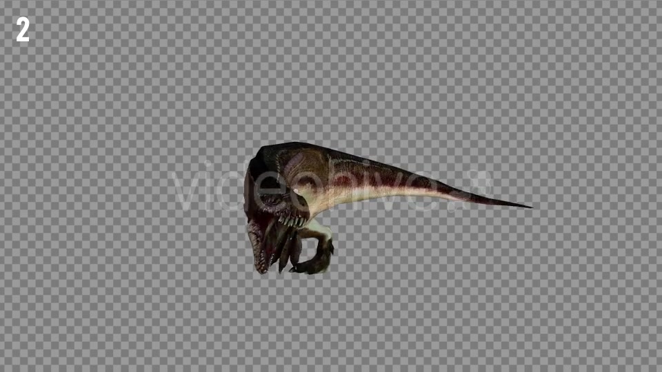T REX 2 Realistic Pack 5 Videohive 21265310 Motion Graphics Image 3