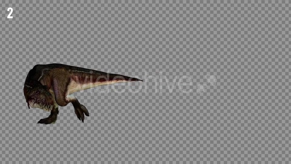T REX 2 Realistic Pack 5 Videohive 21265310 Motion Graphics Image 4