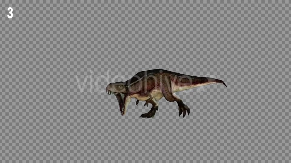 T REX 2 Realistic Pack 5 Videohive 21265310 Motion Graphics Image 5