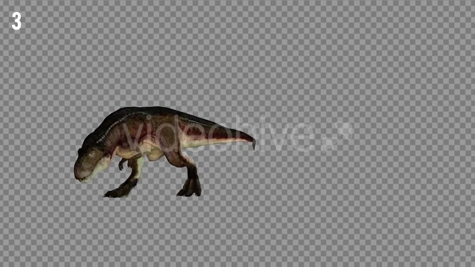 T REX 2 Realistic Pack 5 Videohive 21265310 Motion Graphics Image 6
