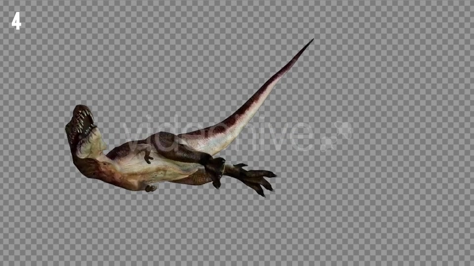 T REX 2 Realistic Pack 5 Videohive 21265310 Motion Graphics Image 7