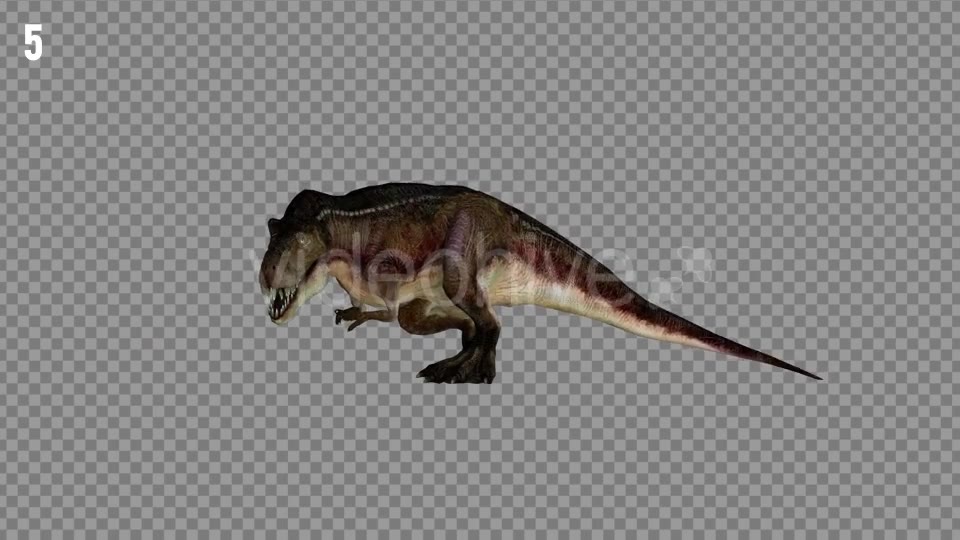 T REX 2 Realistic Pack 5 Videohive 21265310 Motion Graphics Image 8